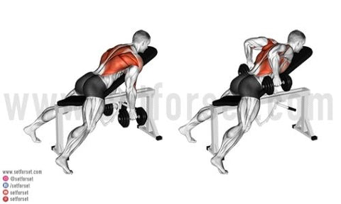 9 Best Dumbbell Back Exercises Set For Set