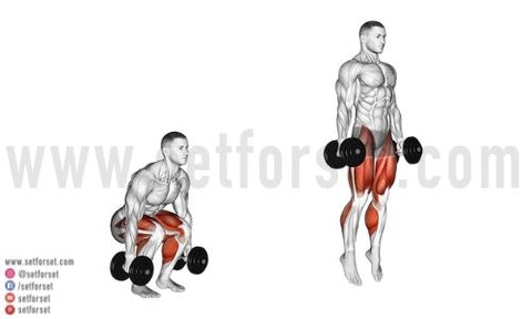 12 Best Dumbbell Leg Exercises For Lower Body Workouts Set For Set