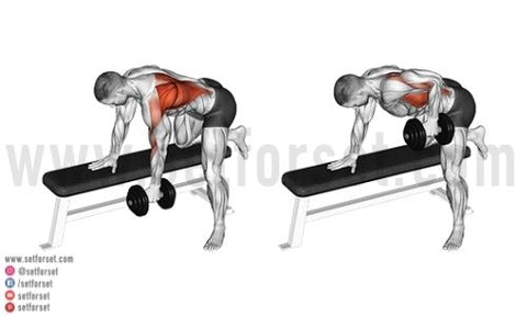 9 Best Middle Back Exercises Set For Set