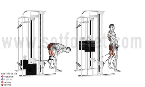 Is The Cable Pull Through Exercise Effective Set For Set