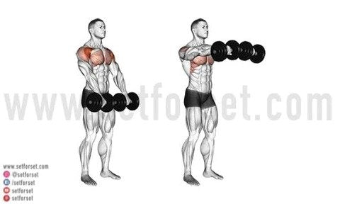 How To Do Front Raises Correctly Best Variations Set For Set