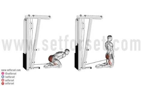 Is The Cable Pull Through Exercise Effective Set For Set