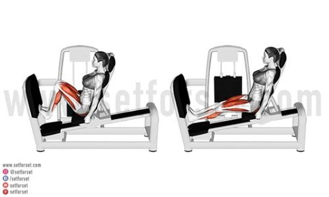 7 Leg Press Foot Placements Muscles Worked Set For Set