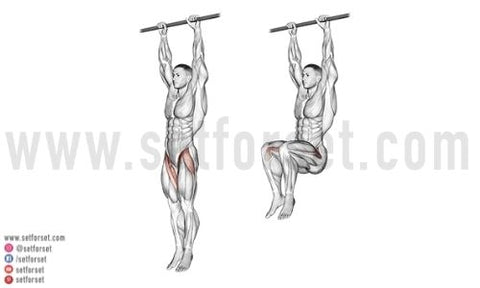 11 Best Lower Ab Exercises For Your Core Workouts Set For Set