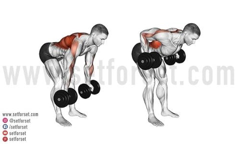 9 Best Dumbbell Back Exercises Set For Set