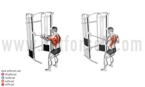 The Ultimate Back And Biceps Workout Set For Set