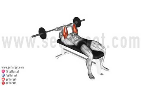 6 Barbell Tricep Exercises For Jacked Arms Set For Set