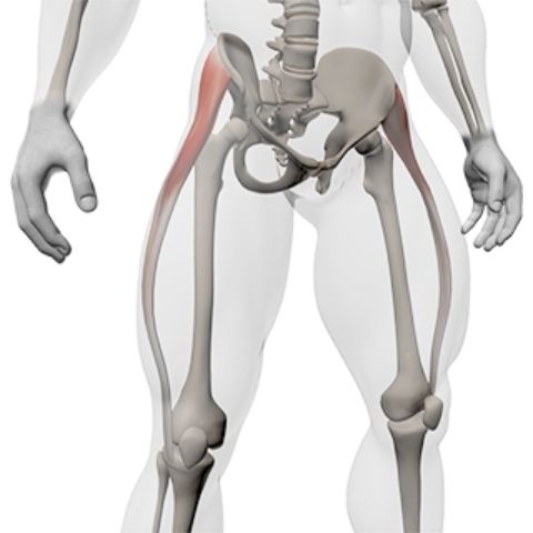 10 Best Tensor Fasciae Latae Tfl Stretches Set For Set