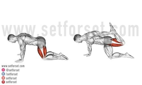 Top 12 Vastus Lateralis Exercises Stretches Set For Set