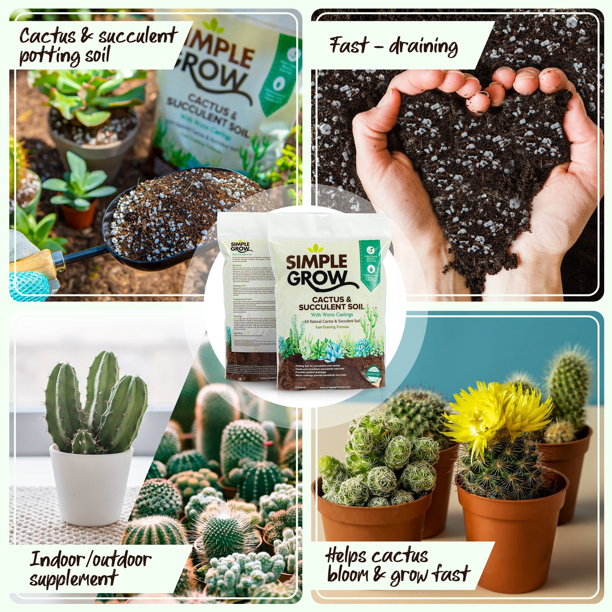 Simple Grow Cactus Succulent Soil