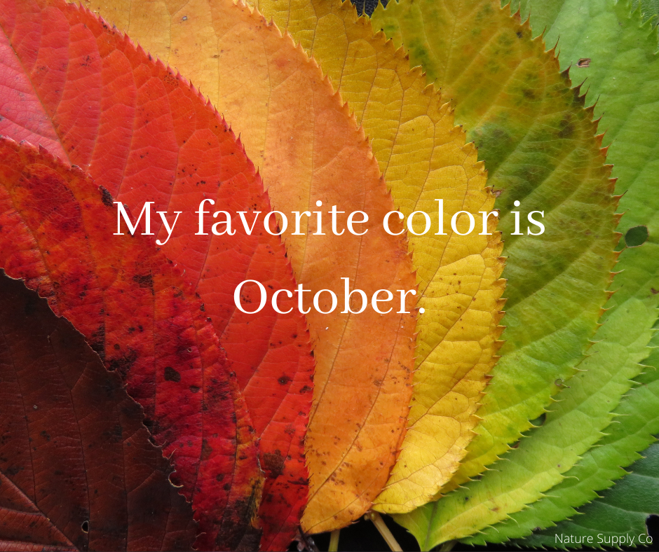 10 Autumn Quotes That Will Inspire You To Get Outside Nature Supply Co