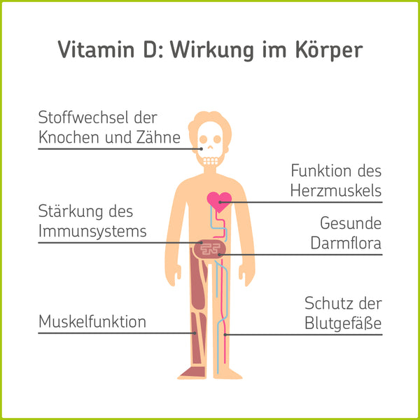 Vitamin D Mangel Symptome Ursachen Und Behandlung Cerascreen