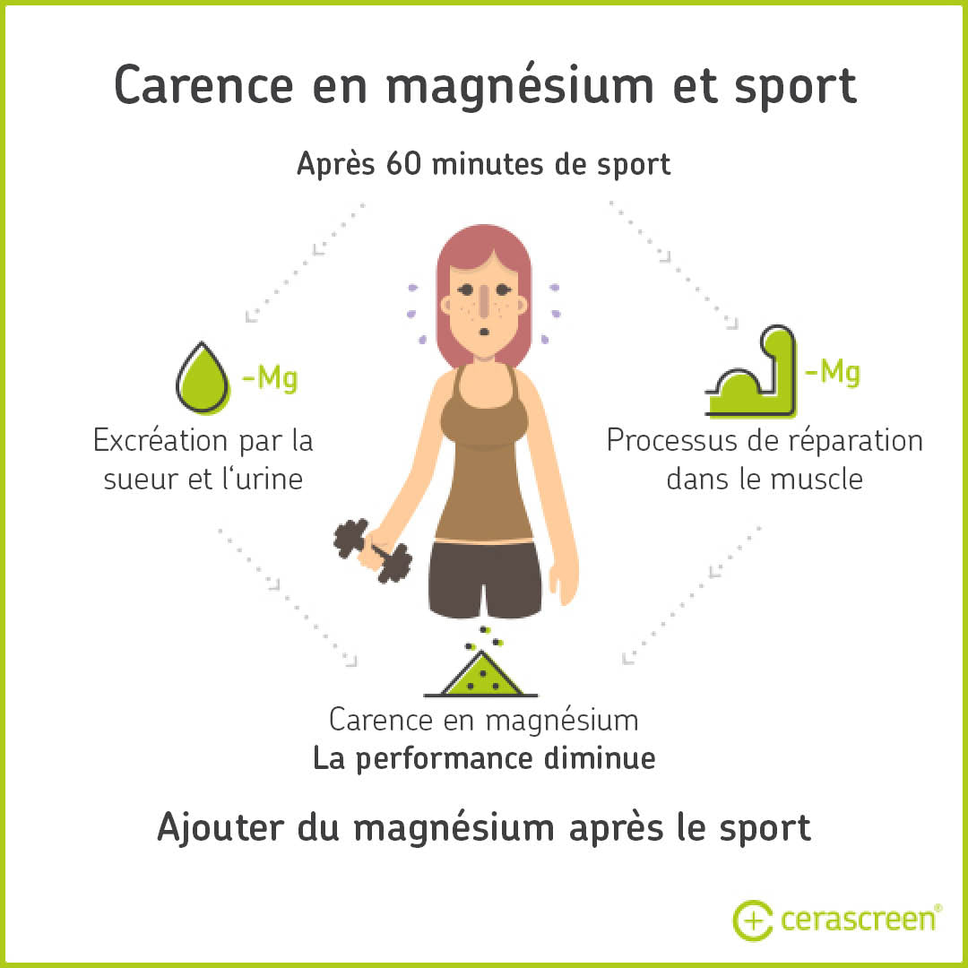 Carence En Magnesium 7 Faits Utiles Pour Agir Cerascreen