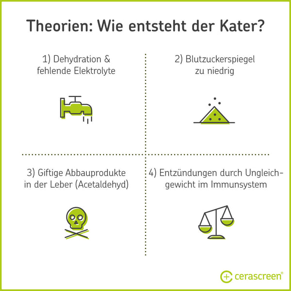 Was Hilft Gegen Kater Tipps Auf Dem Prufstand Cerascreen