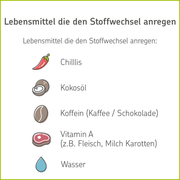 Stoffwechsel So Regen Sie Ihren Stoffwechsel An Cerascreen