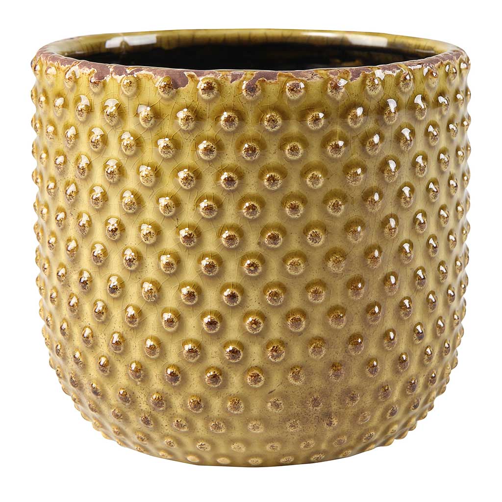 Bolino Plant Pot Yellow Quality Plant Pots Hortology