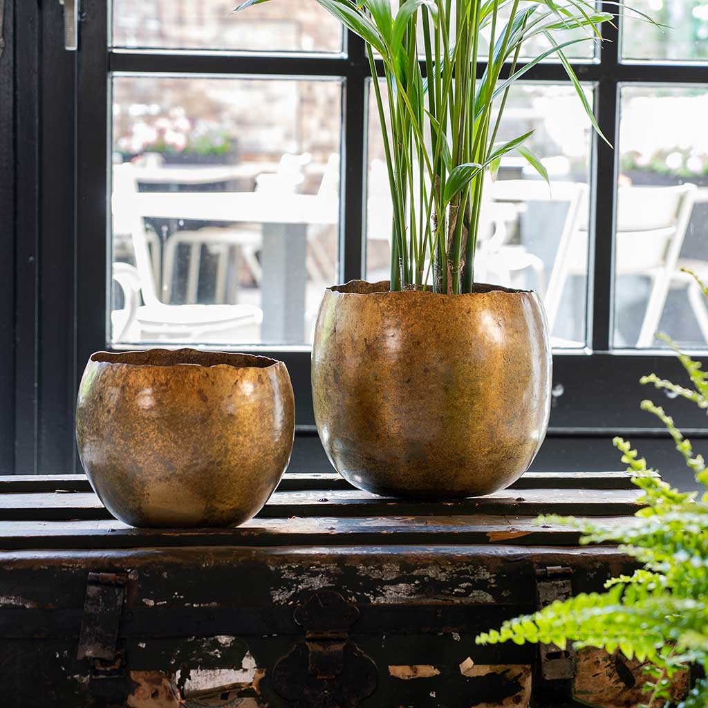 Ellen Metal Plant Pots Set Of 3 Brass Hortology