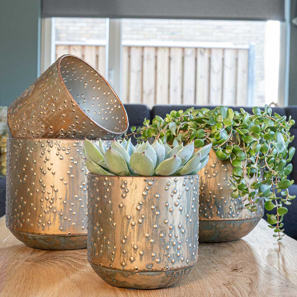 Lian Metal Plant Pots Set Of 4 Copper Green Small Hortology