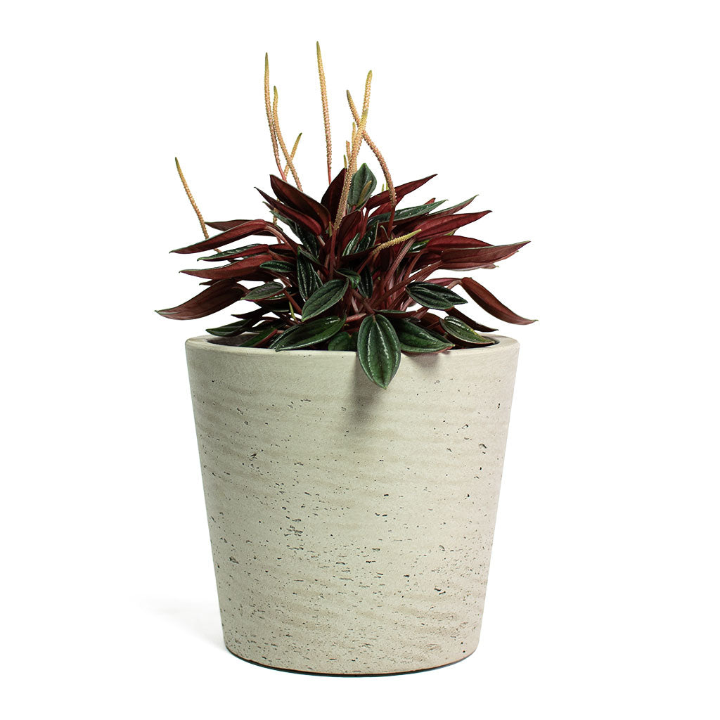 Mini Bucket Plant Pot Grey Washed Quality Plant Pots Hortology