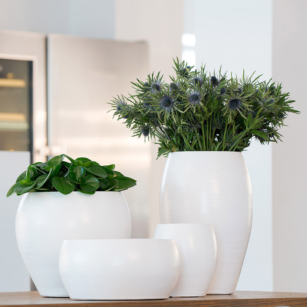 Cresta Plant Bowl Pure White Quality Indoor Plant Pots Hortology