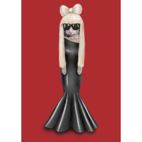 Pets Rock Tagged Gg Star Editions