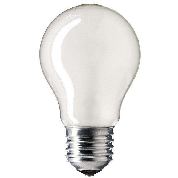 Gls 60w Light Bulb Es E27 Pearl 24v The Lamp Company