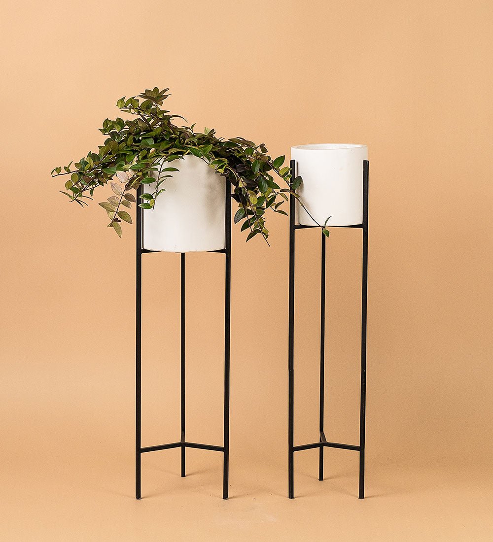 Metal Cement Plant Stand Singapore Tumbleweed Plants