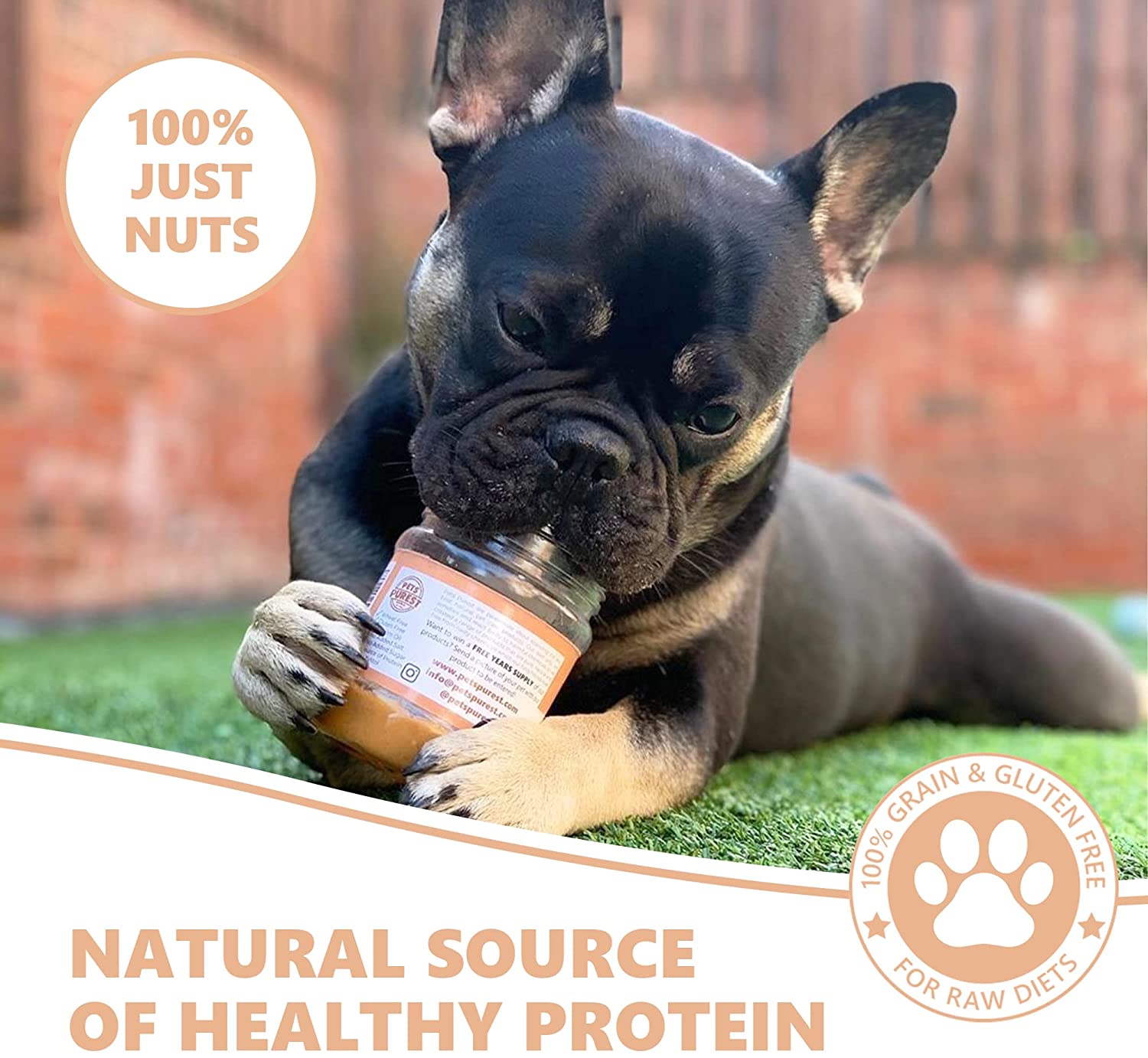 Peanut Butter For Dogs 100 Natural Pets Purest