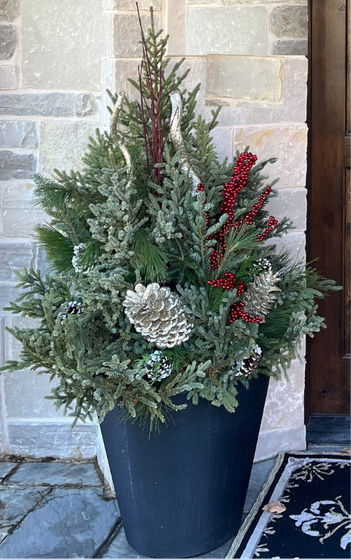 Planter Delivery Subscription Simple And Grand