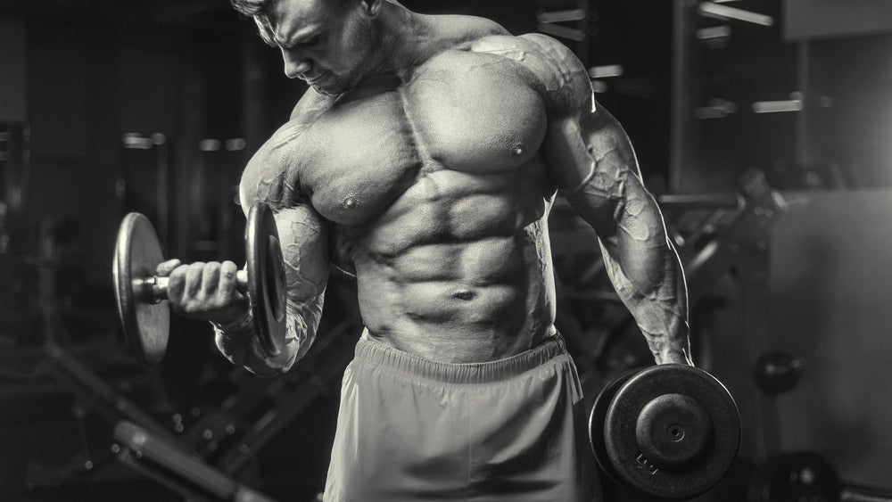 The Best 4 Day Workout Split For Muscle Strength Steel Supplements