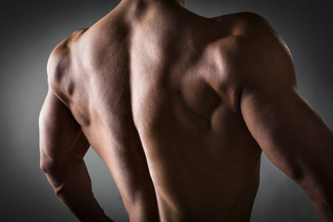How To Do Straight Arm Pulldowns Form And Benefits Steel Supplements