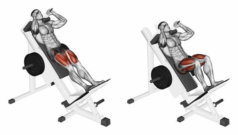 Hack Squat Vs Leg Press Differences Pros Cons Steel Supplements
