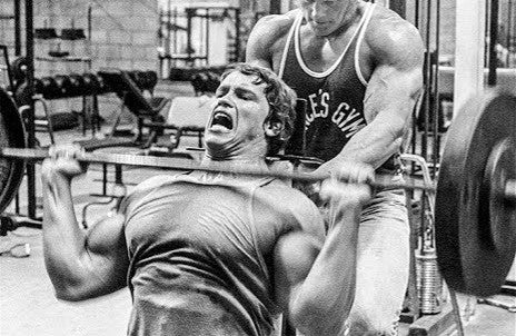 How Arnold Trained Shoulders Untapped Supplement