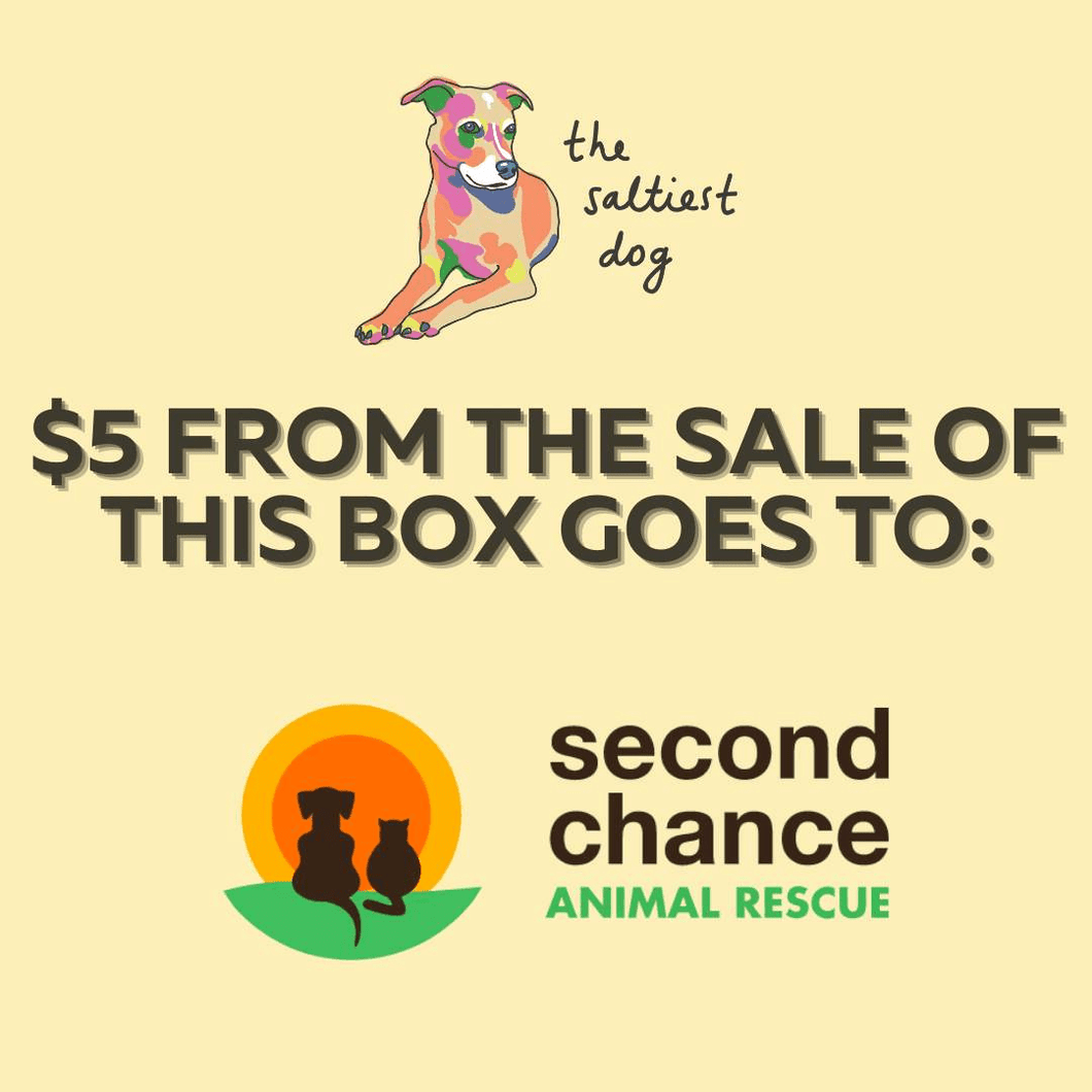 Dog Rescue Treat Box Second Chance Animal Rescue The Saltiest Dog