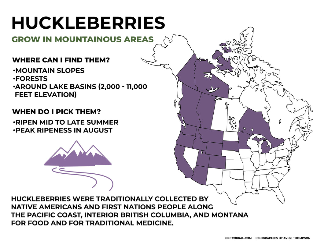 What Is A Huckleberry Montana Gift Corral