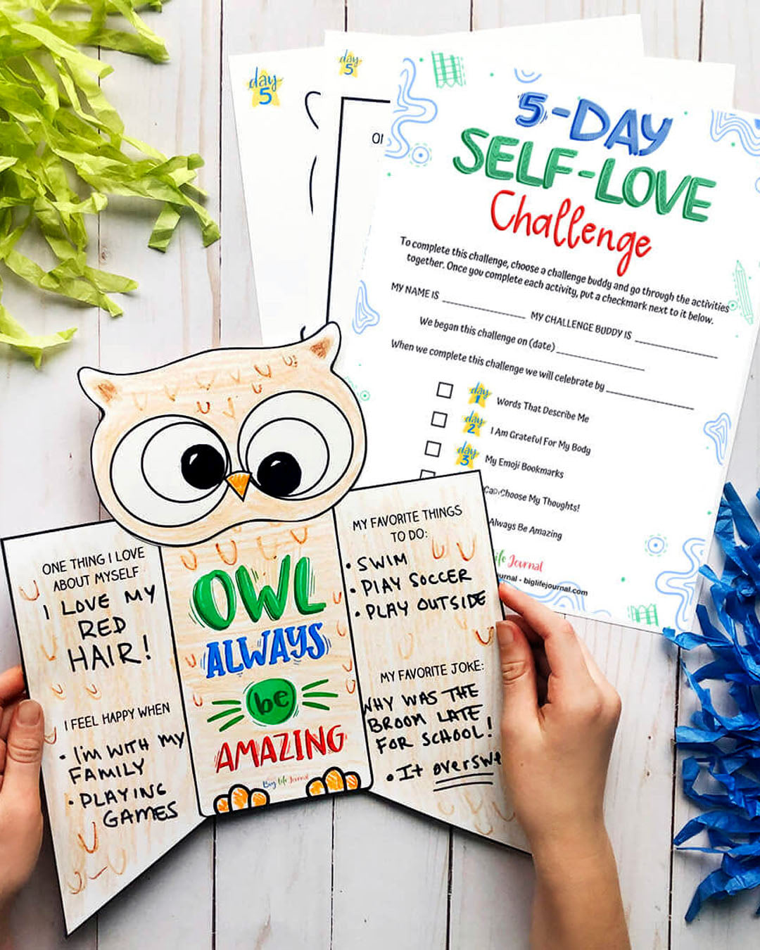 Challenges Kit Pdf Ages 5 12 Big Life Journal