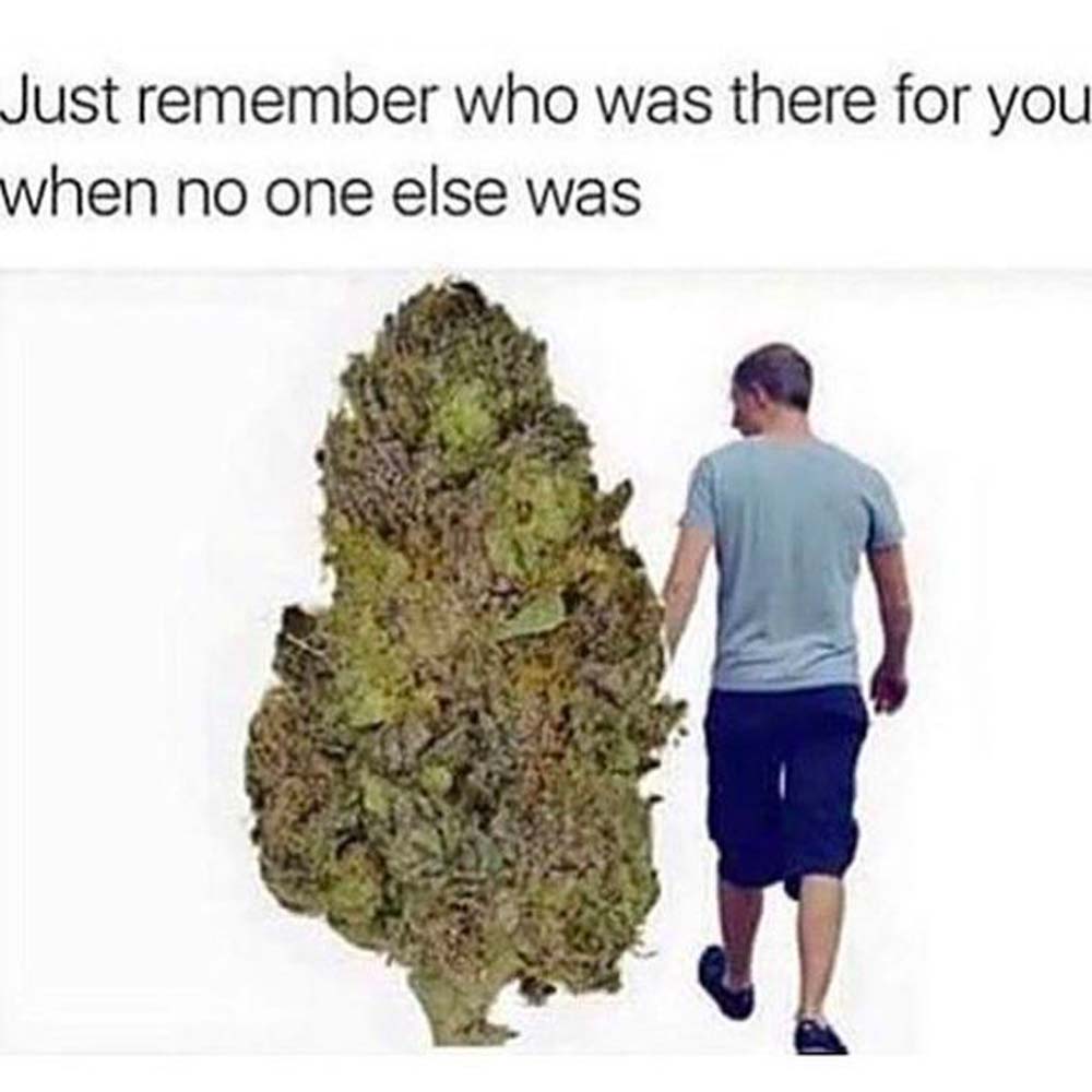 Weed Memes Of 2022 Fat Buddha Glass