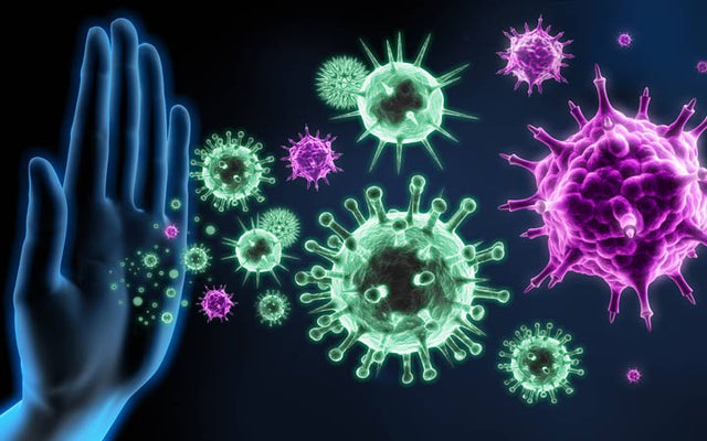 6 Symptoms Of A Weak Immune System Skinkraft