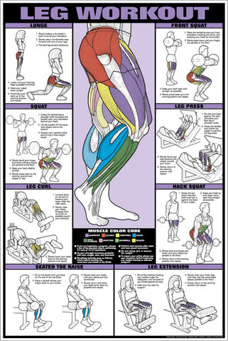 Leg Workout Professional Fitness Gym Instructional Wall Chart Poster Co Ed Fitnus Corp Sports Poster Warehouse