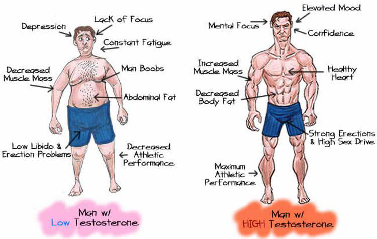 6 Ways To Increase Testosterone Levels Naturally Freak Athletiq