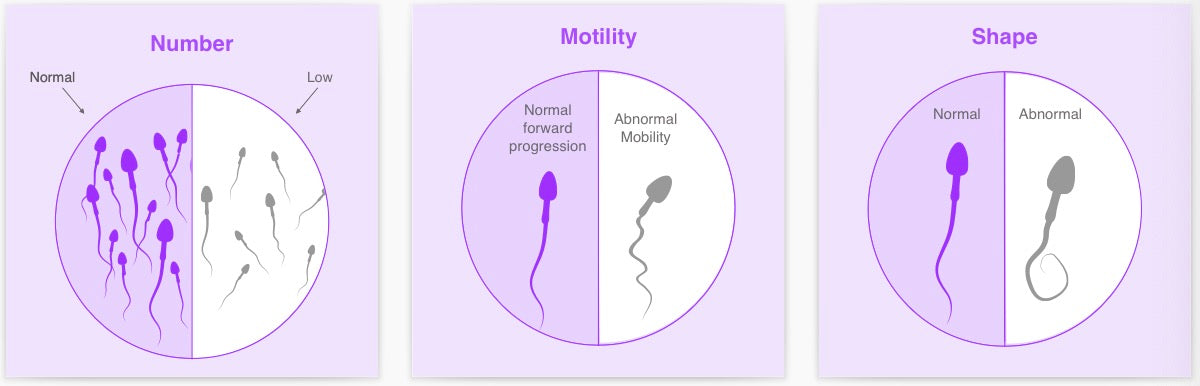 Testing For Male Infertility Easy Home Fertility