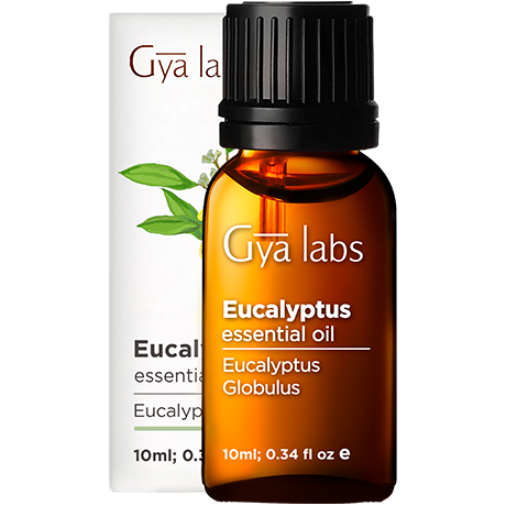 Eucalyptus Essential Oil 10ml Shop Gya Labs Aromatherapy Products