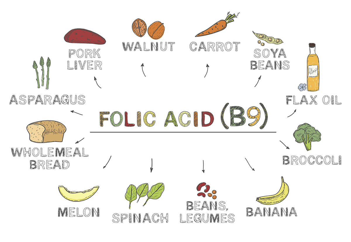 Preparing For Pre Pregnancy Diet Cradle Tonic