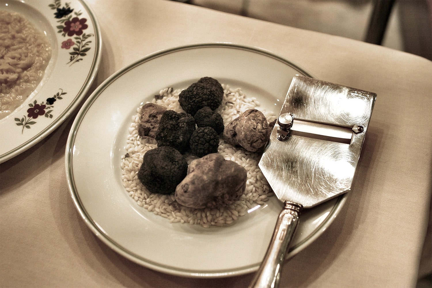 White VS. Black Truffle: What’s The Difference? | TRUFF
