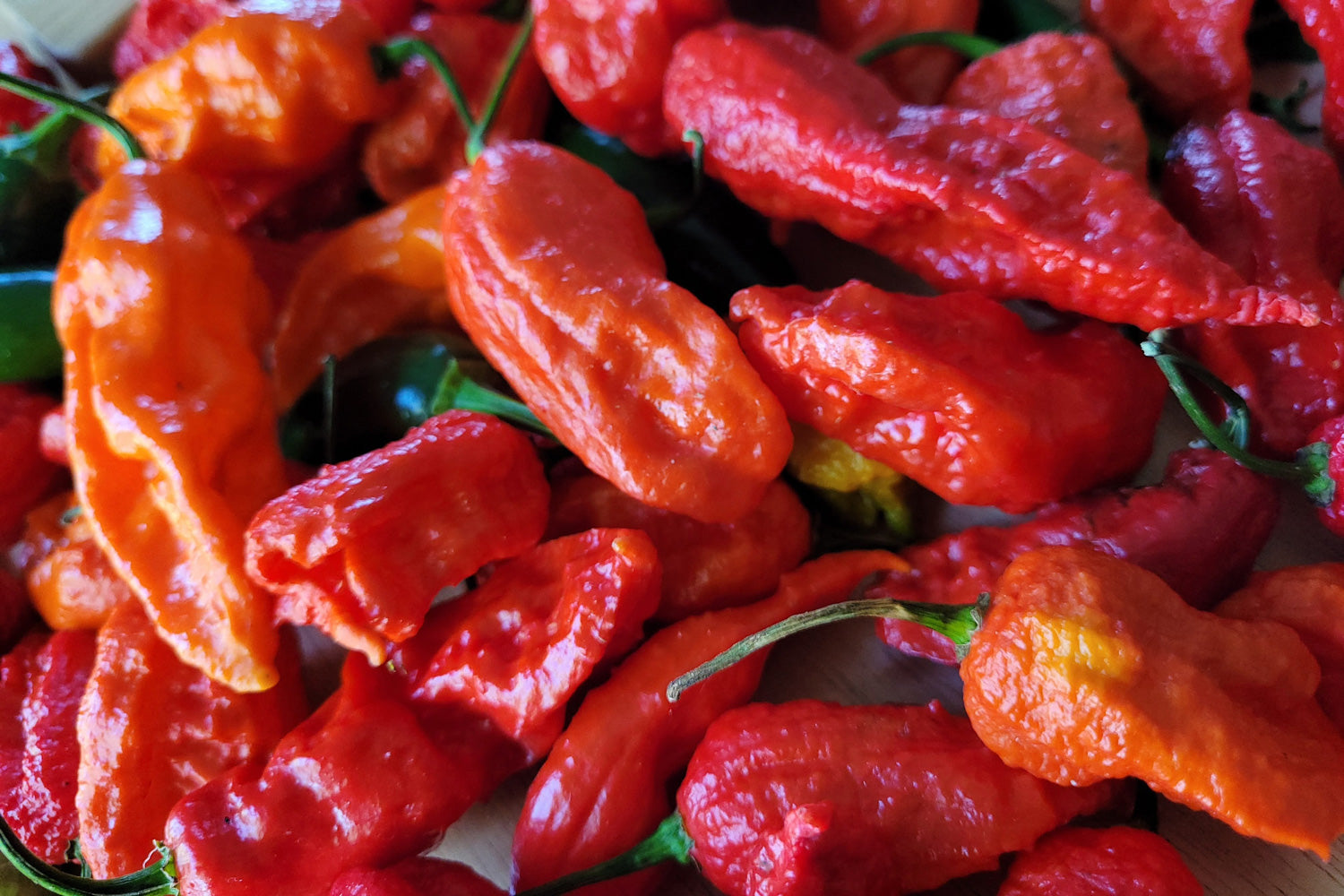 What Is a Ghost Pepper and How Hot Are They? | TRUFF