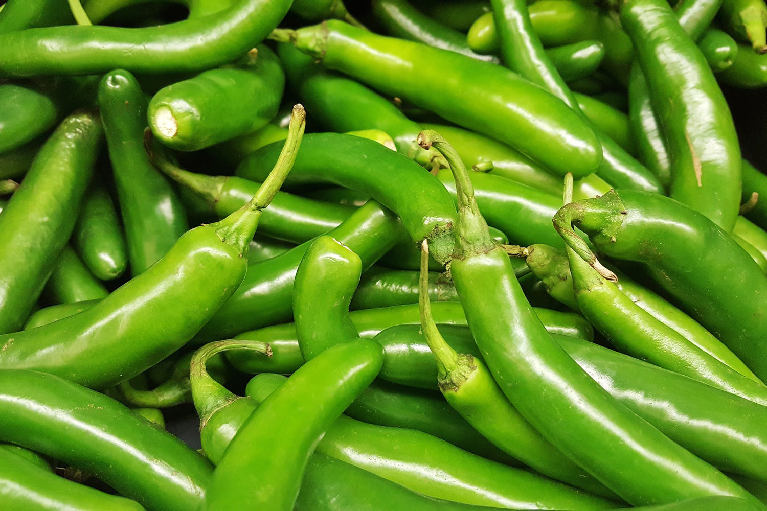 Serrano pepper