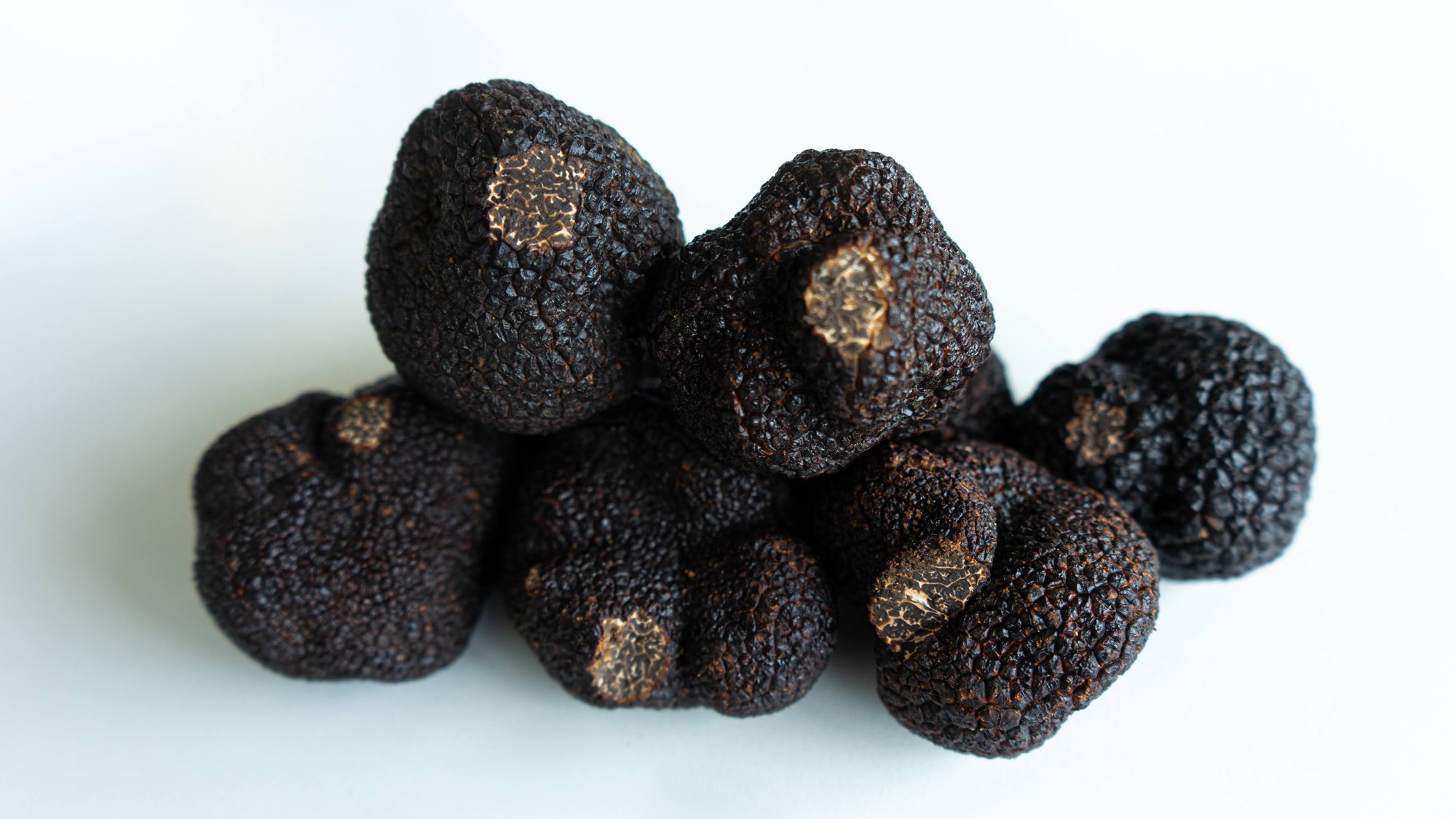Where Are Truffles Found? | TRUFF