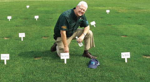 Jonathan Green Black Beauty Lawn Repair Mackey S