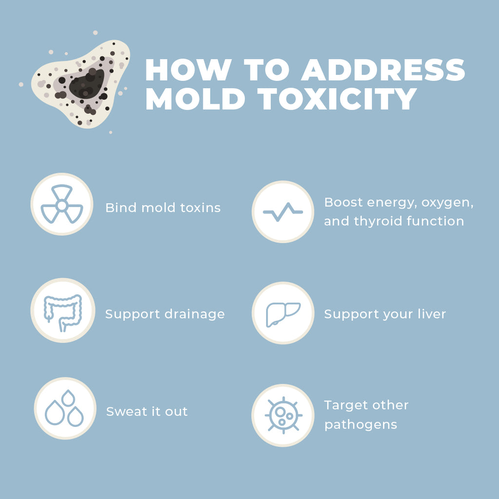 Mold Toxicity Black Mold Symptoms Solutions Microbe Formulas