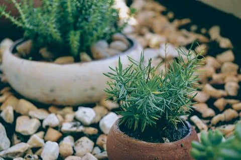 12 Best Garden Decor Ideas For 2021 Happy Gardens